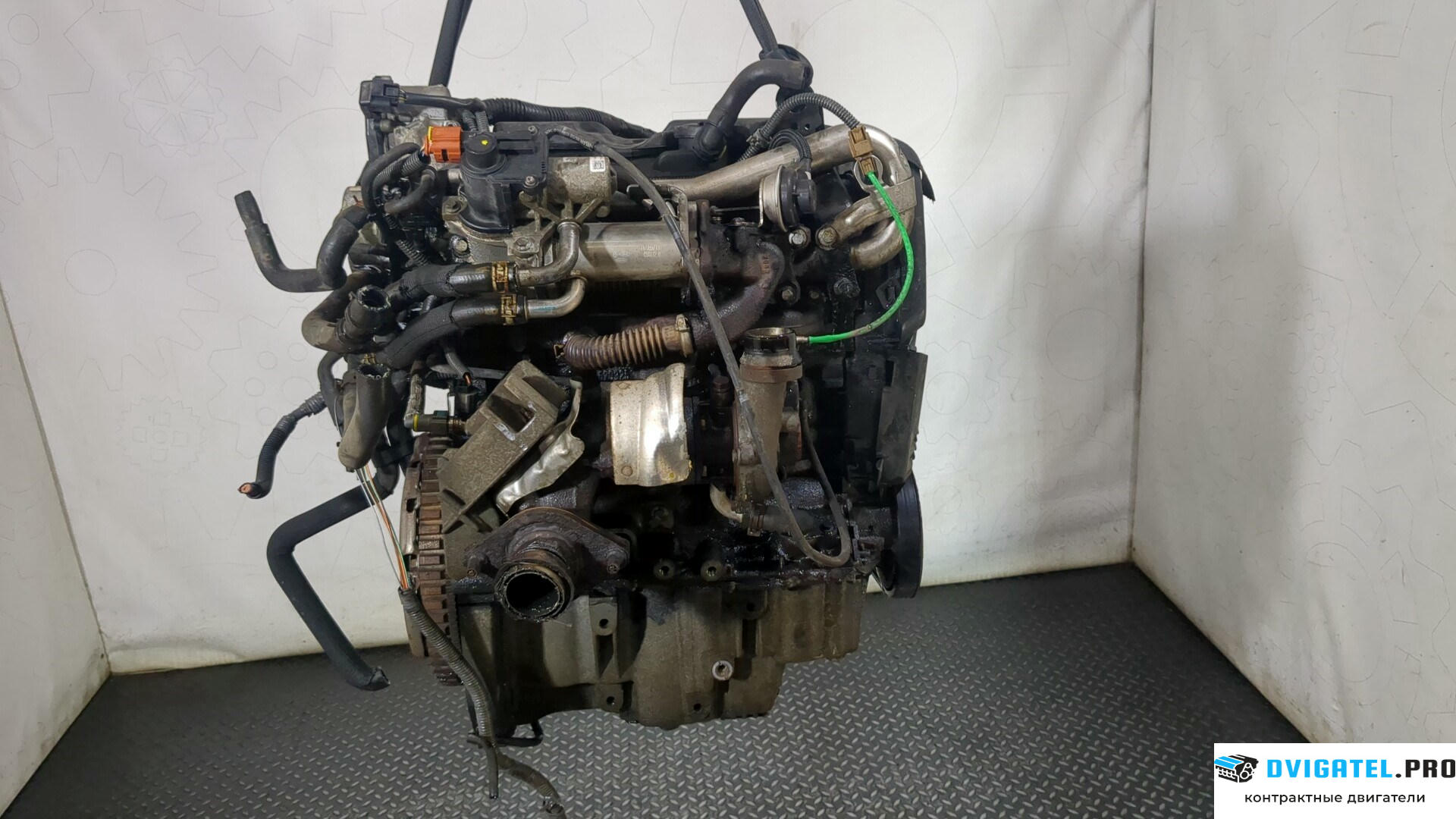 Двигатель Nissan Note E11 2006 - 2013 K9K 1.5 л., Дизель, DCI, артикул 8865801