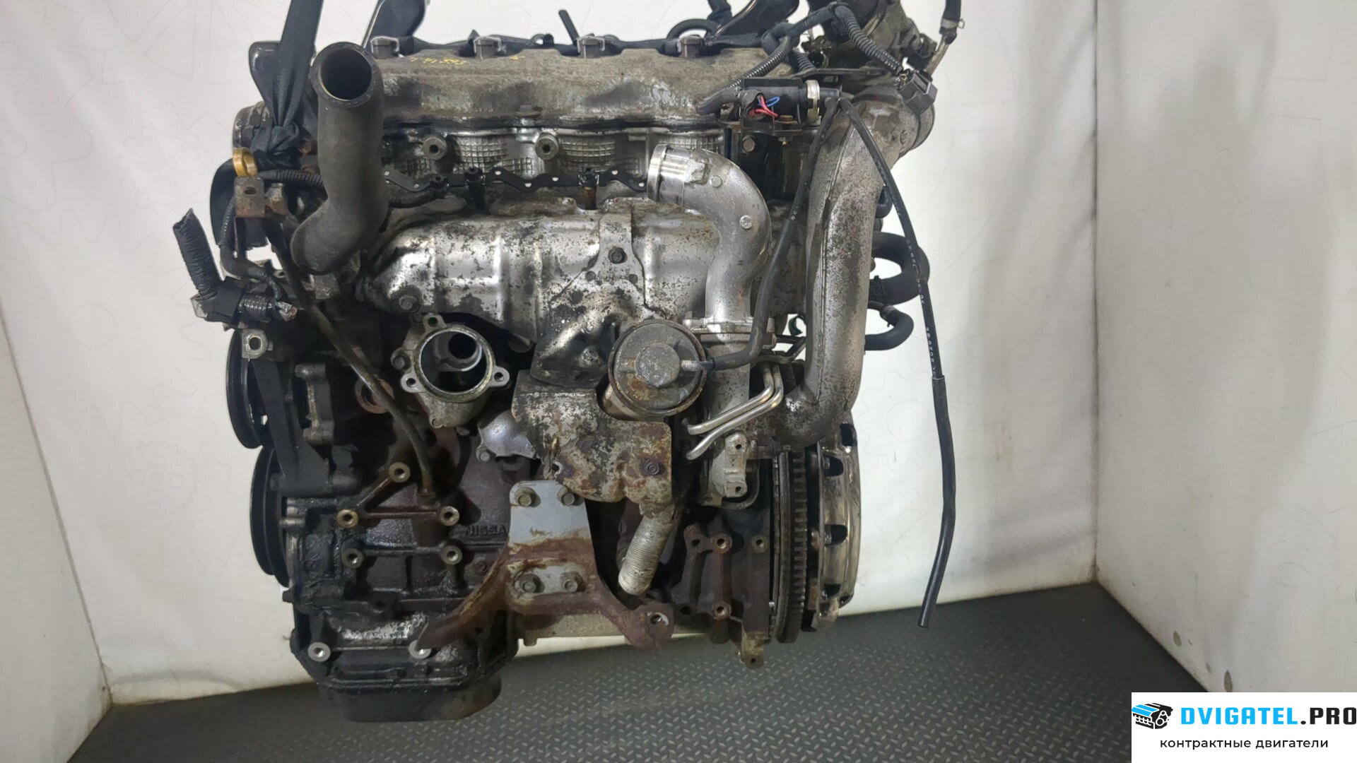 Двигатель Nissan X-Trail T30 2001 - 2006 YD22ETI 2.2 л., Дизель, DCI, артикул 9038371