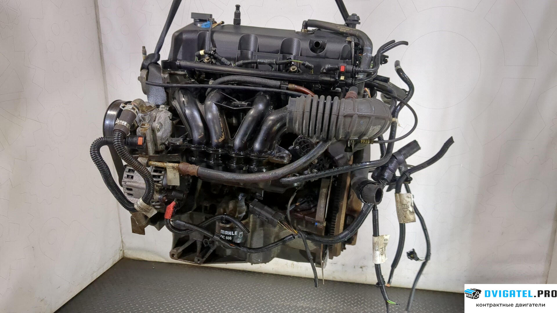 Двигатель Ford Fiesta 2001 - 2007 BAJA 1.3 л., Бензин, Инжектор, артикул 9245323